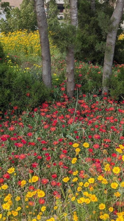 P.Gardens 103 Lägenhet Pégeia Exteriör bild